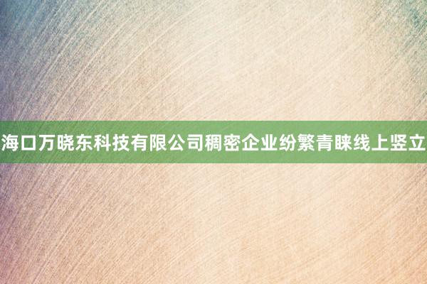 海口万晓东科技有限公司稠密企业纷繁青睐线上竖立