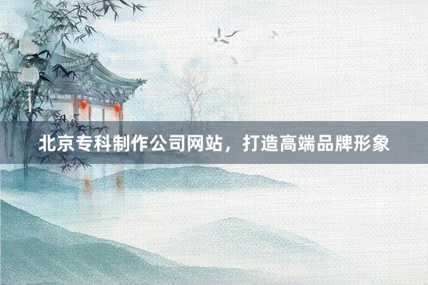 北京专科制作公司网站，打造高端品牌形象