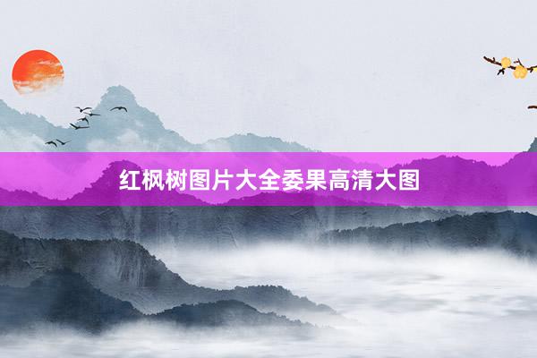 红枫树图片大全委果高清大图