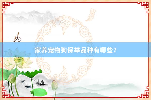 家养宠物狗保举品种有哪些？